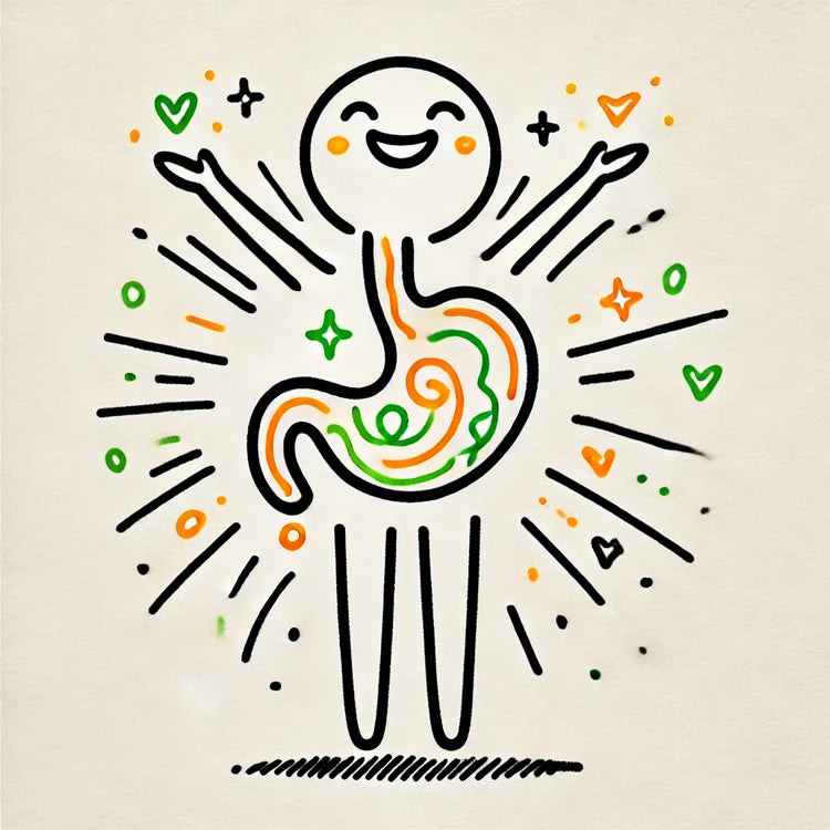 Gut Health & Digestion